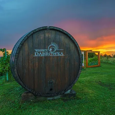 W Winiarni 公寓 Dabrowka Szczepanowska