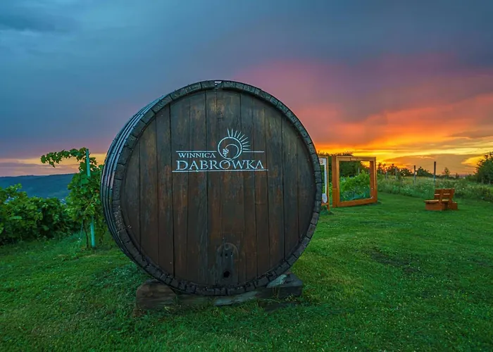 W Winiarni Appartamento Dabrowka Szczepanowska