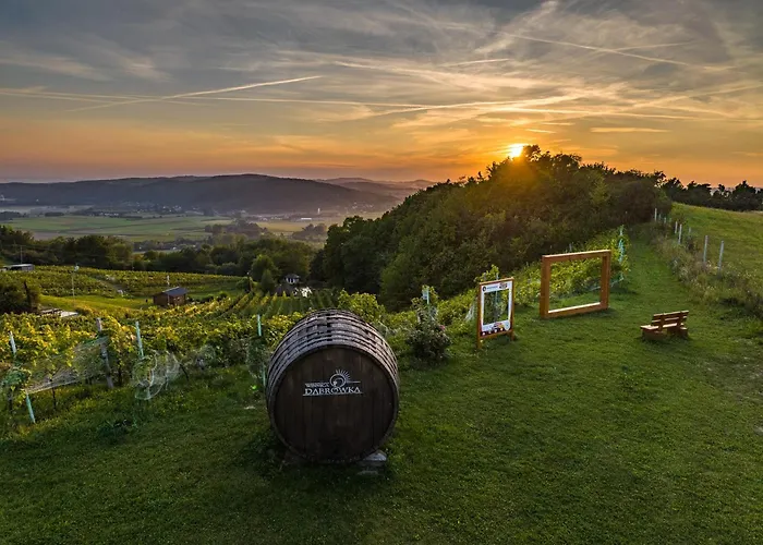 Appartamento W Winiarni